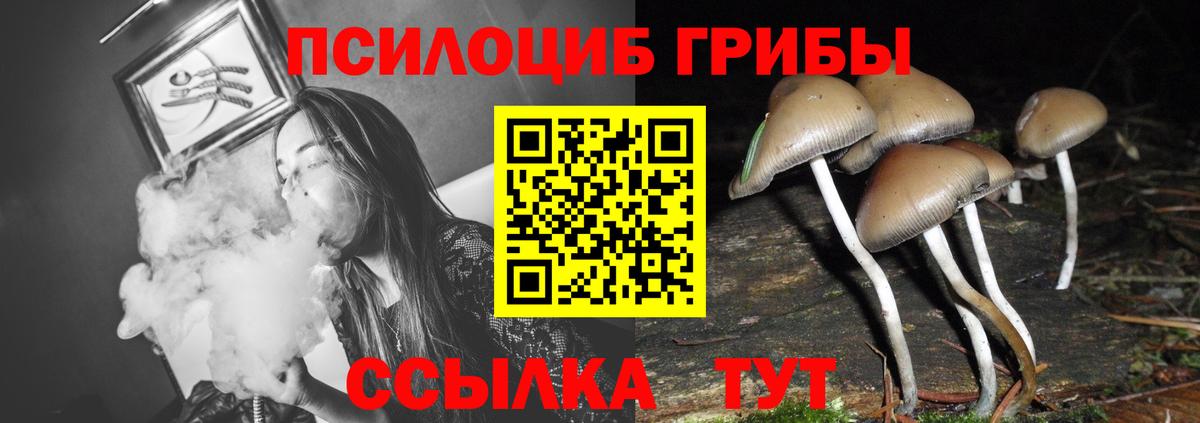 Галлюциногенные грибы GOLDEN TEACHER Кемерово